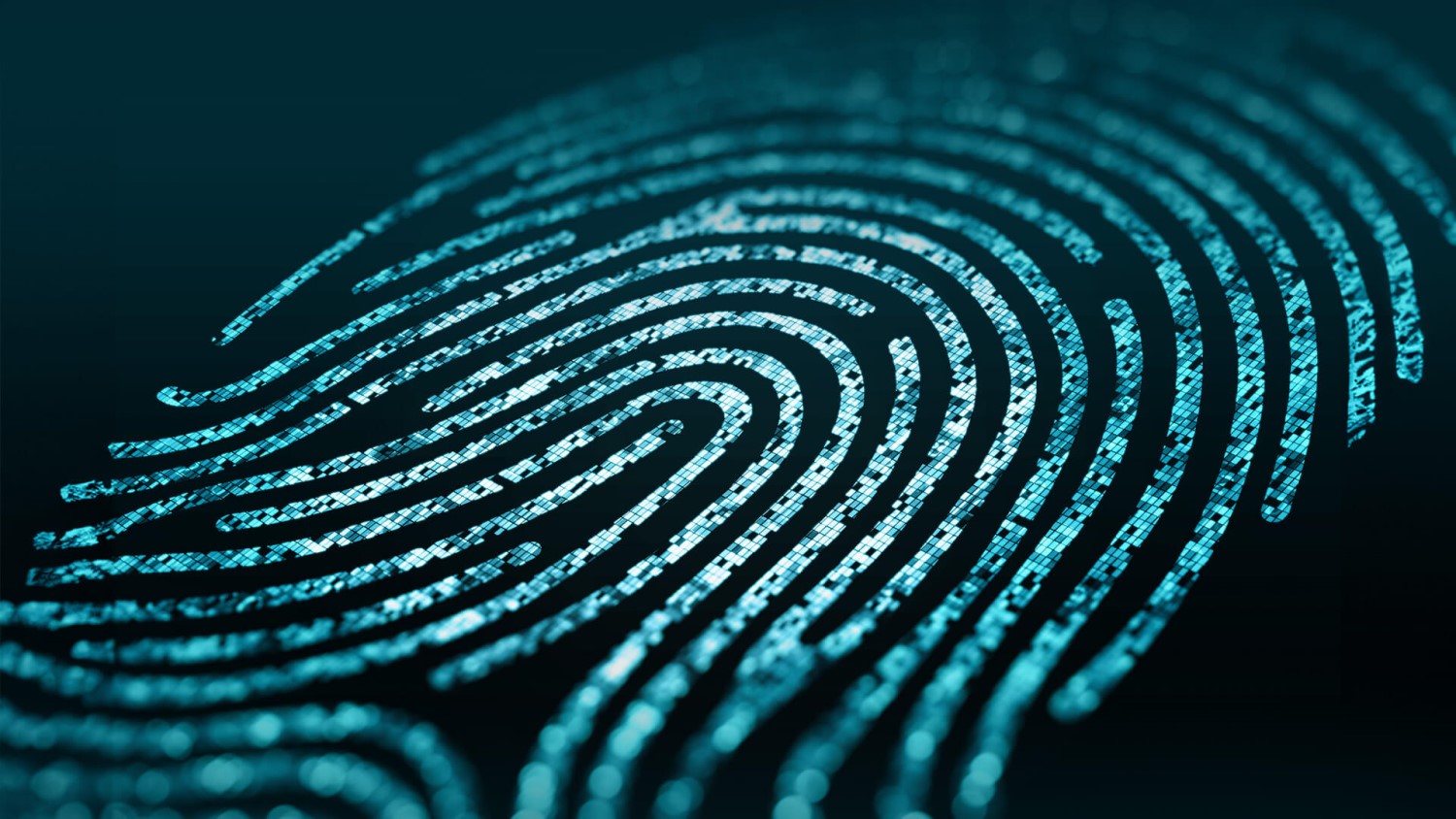 The art of digital sleuthing: How digital forensics unlocks the truth