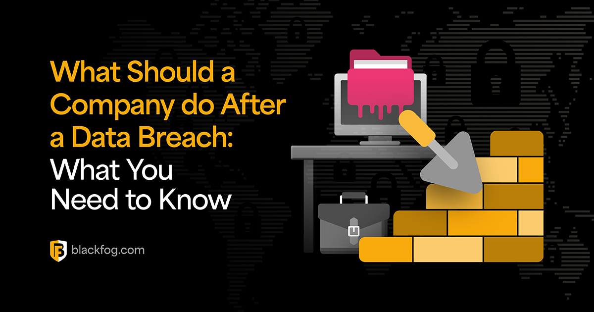 What Should a Company do After a Data Breach? Key Steps you Need to Know About | BlackFog