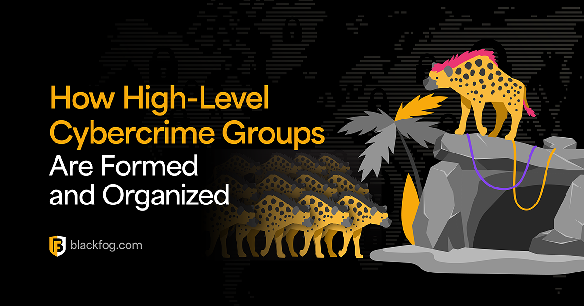 High Level Cybercrime Groups