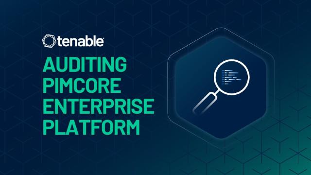 How To Do a Security Audit of Pimcore Enterprise Platform