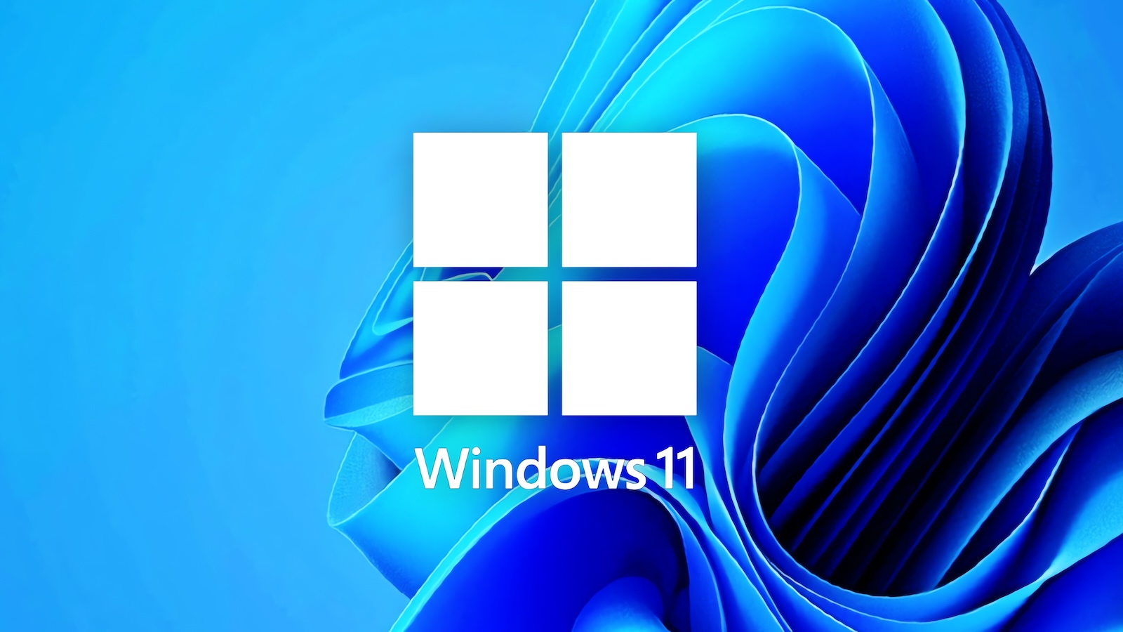 Windows 11