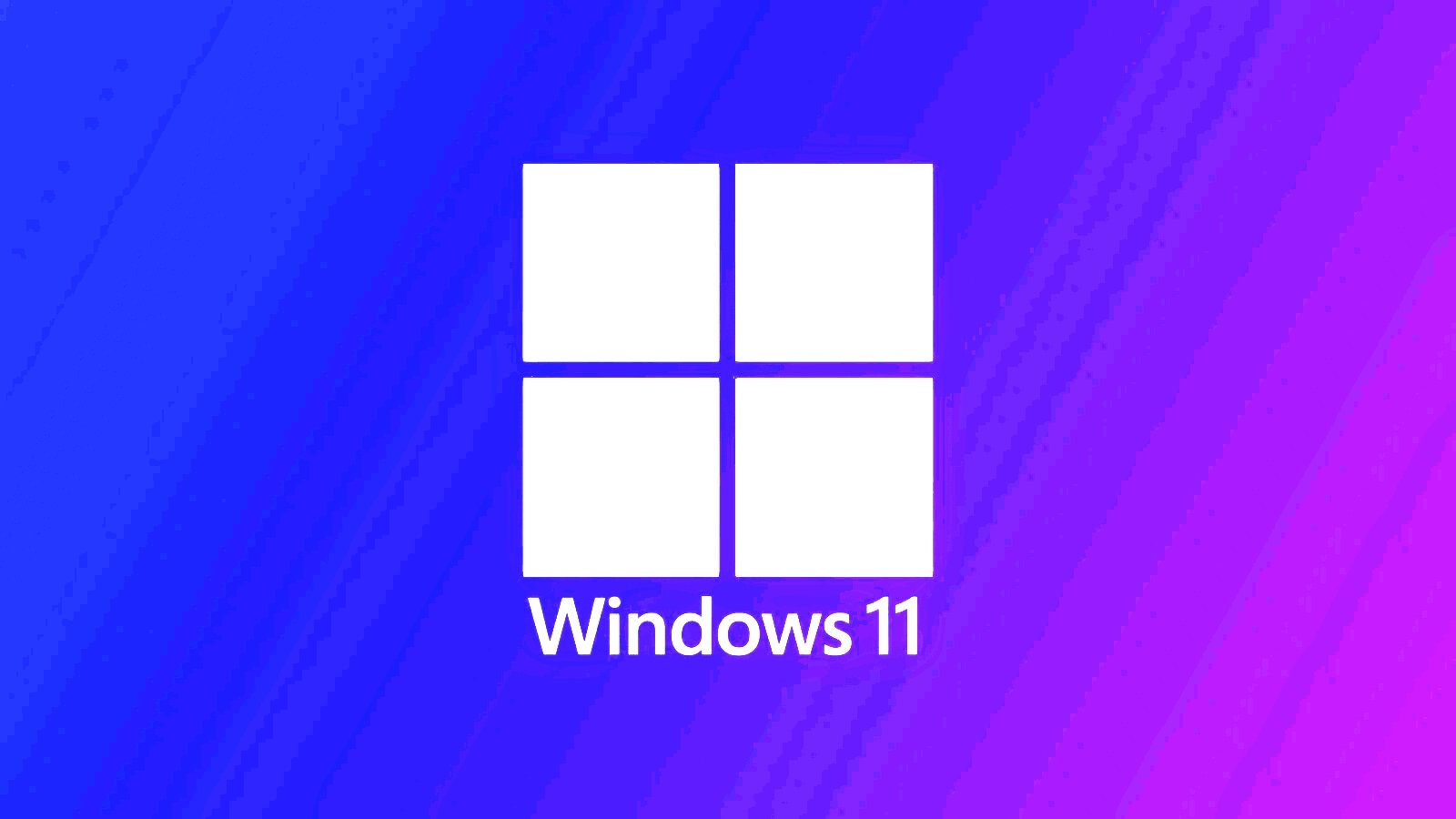 Windows 11