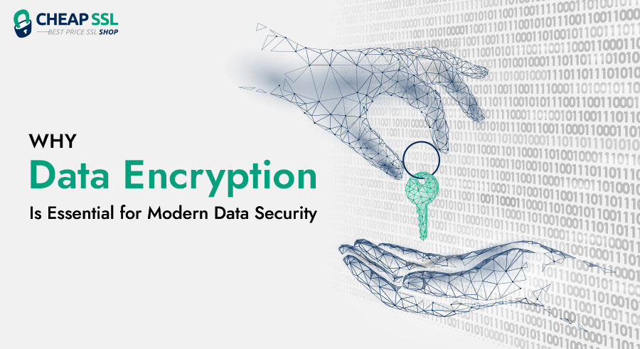 Definitive Guide on Data Encryption