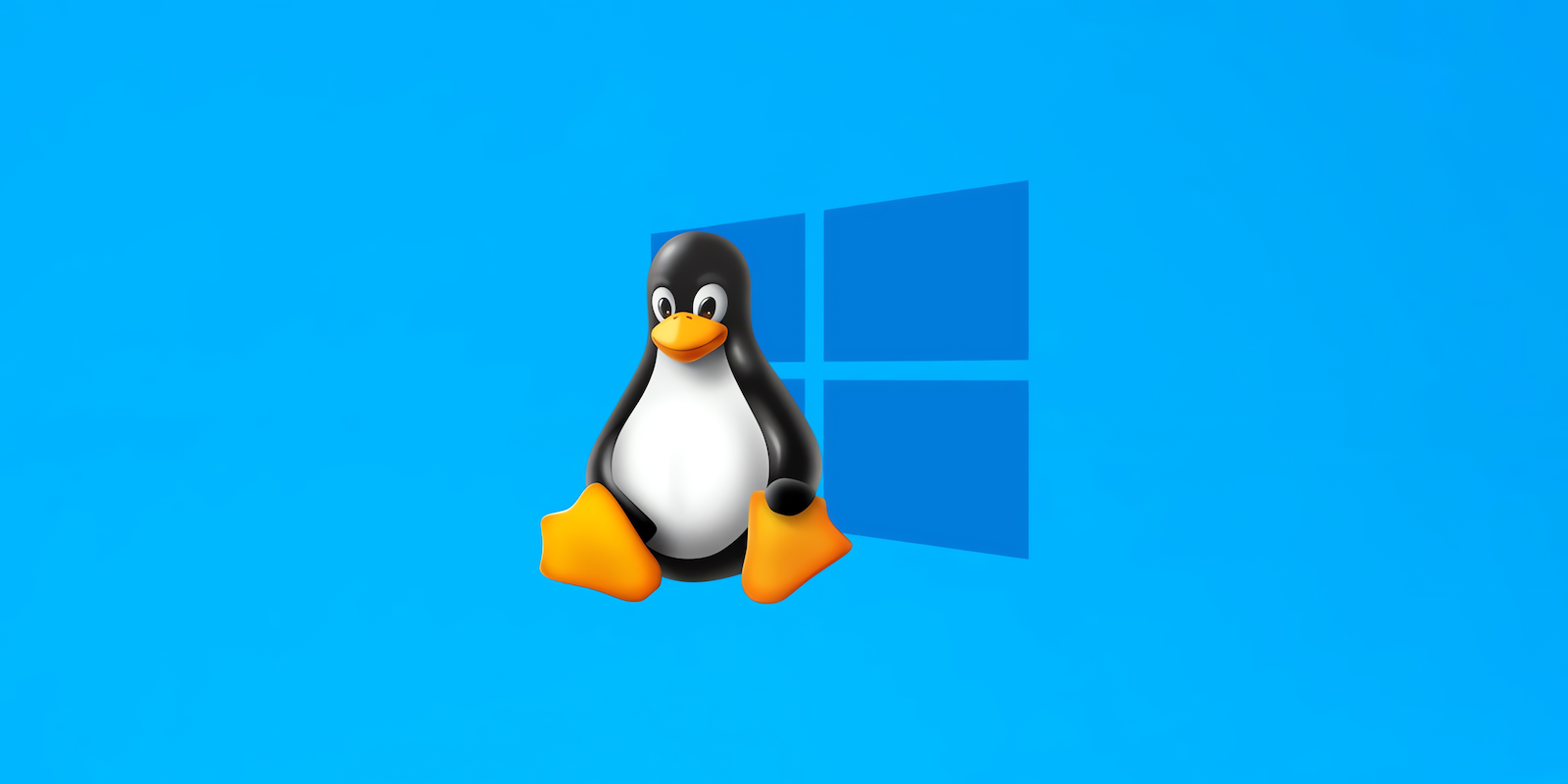 Linux Windows