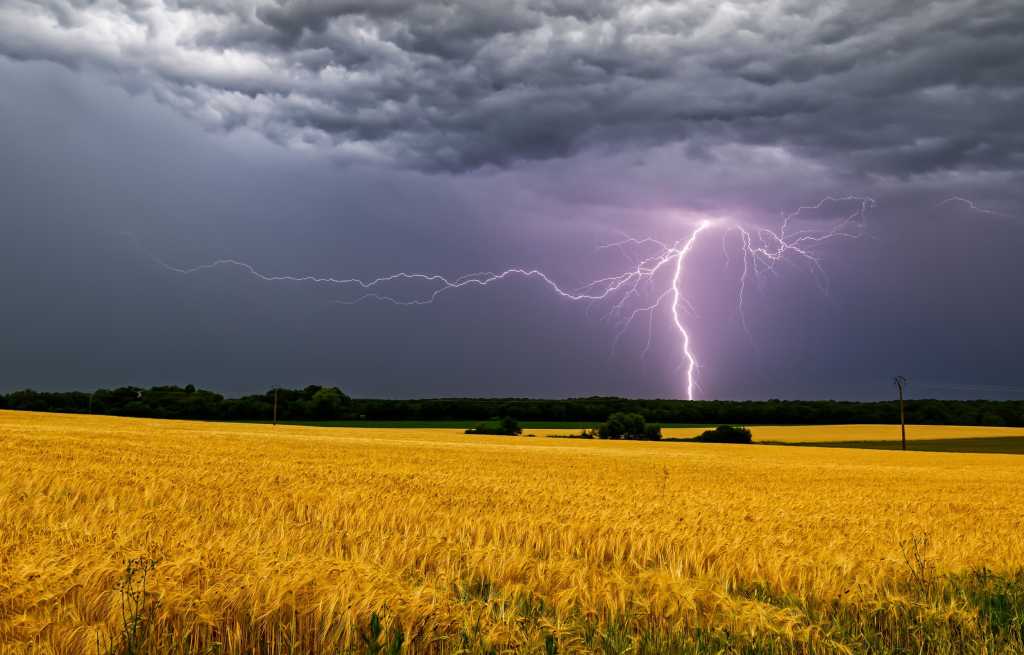 Lightning in the storm sky over the field. Lightning storm with thunderbolt in thunder