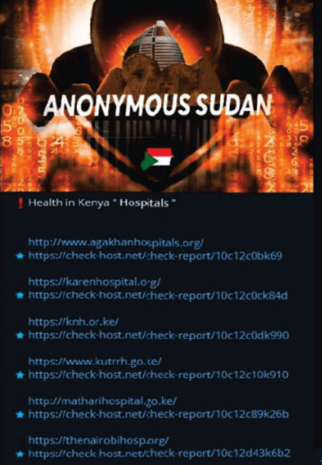 Sudanese Brothers Arrested in ‘AnonSudan’ Takedown – Krebs on Security